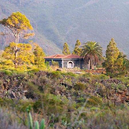 Luxury villa in Nature with Swimming pool Luxus-Finca in der Natur mit pool, Finca de lujo en la naturaleza con piscina El Retamar Esterno foto